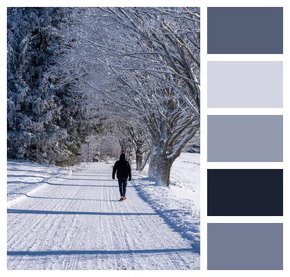 Winter Magic Snow Trees Image